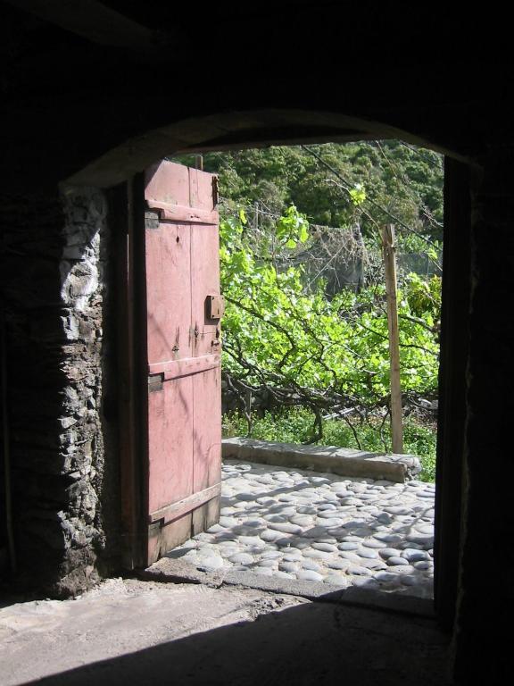 Faja Dos Padres Βίλα Ribeira Brava Εξωτερικό φωτογραφία